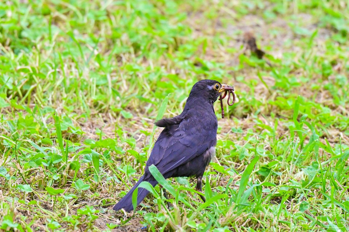 DSC_8065.JPG