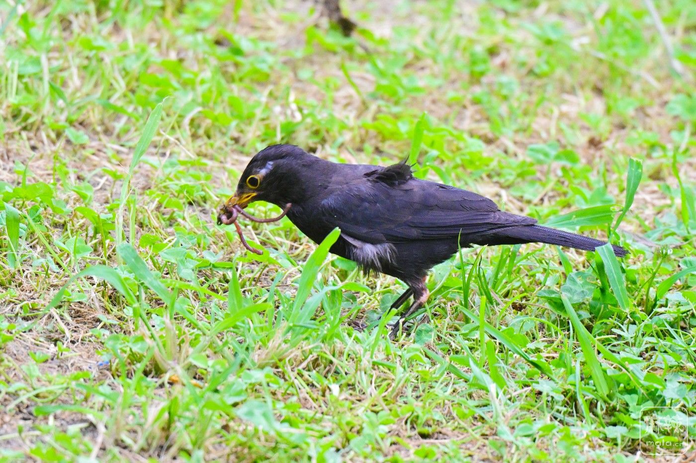 DSC_8067.JPG