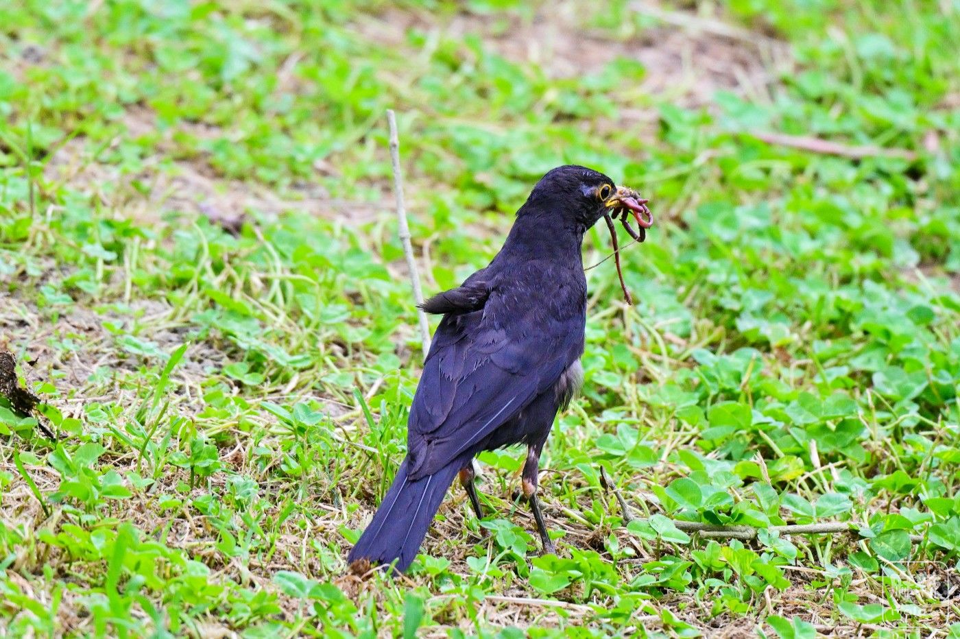 DSC_8075.JPG