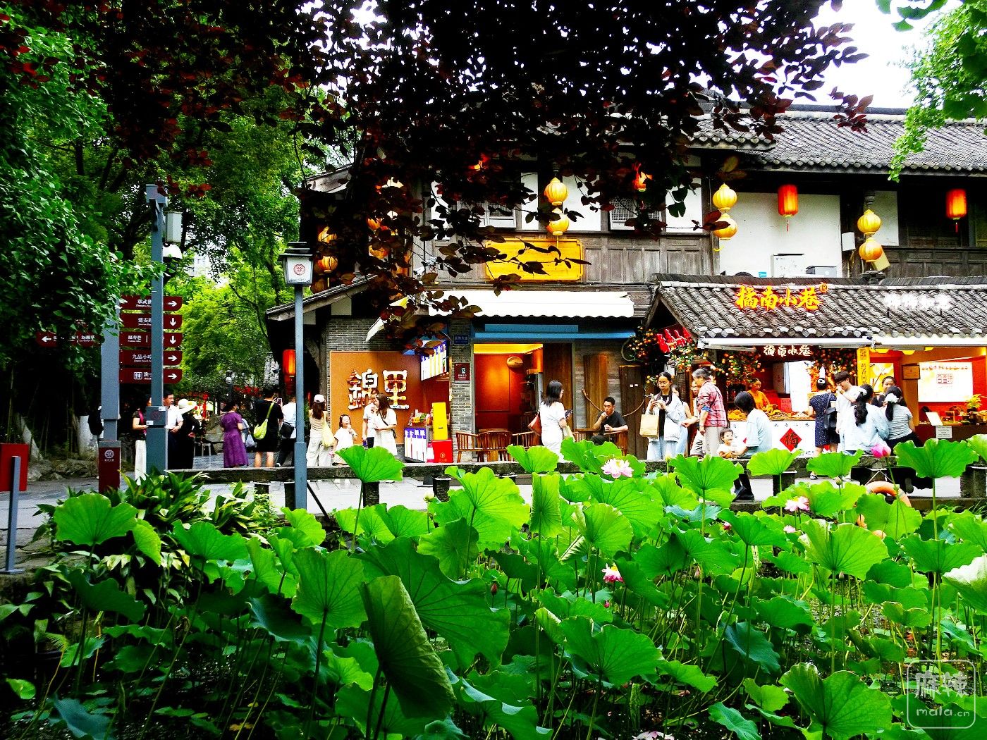 DSC00030.JPG