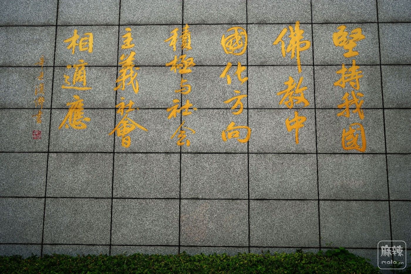 DSC07009_����.jpg