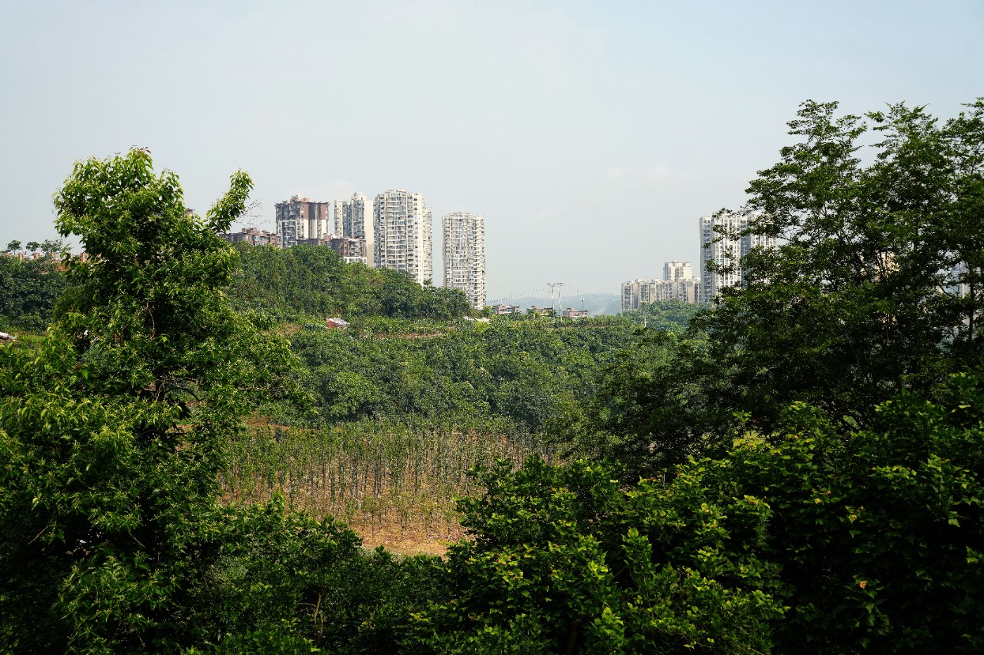 DSC06999_����.jpg