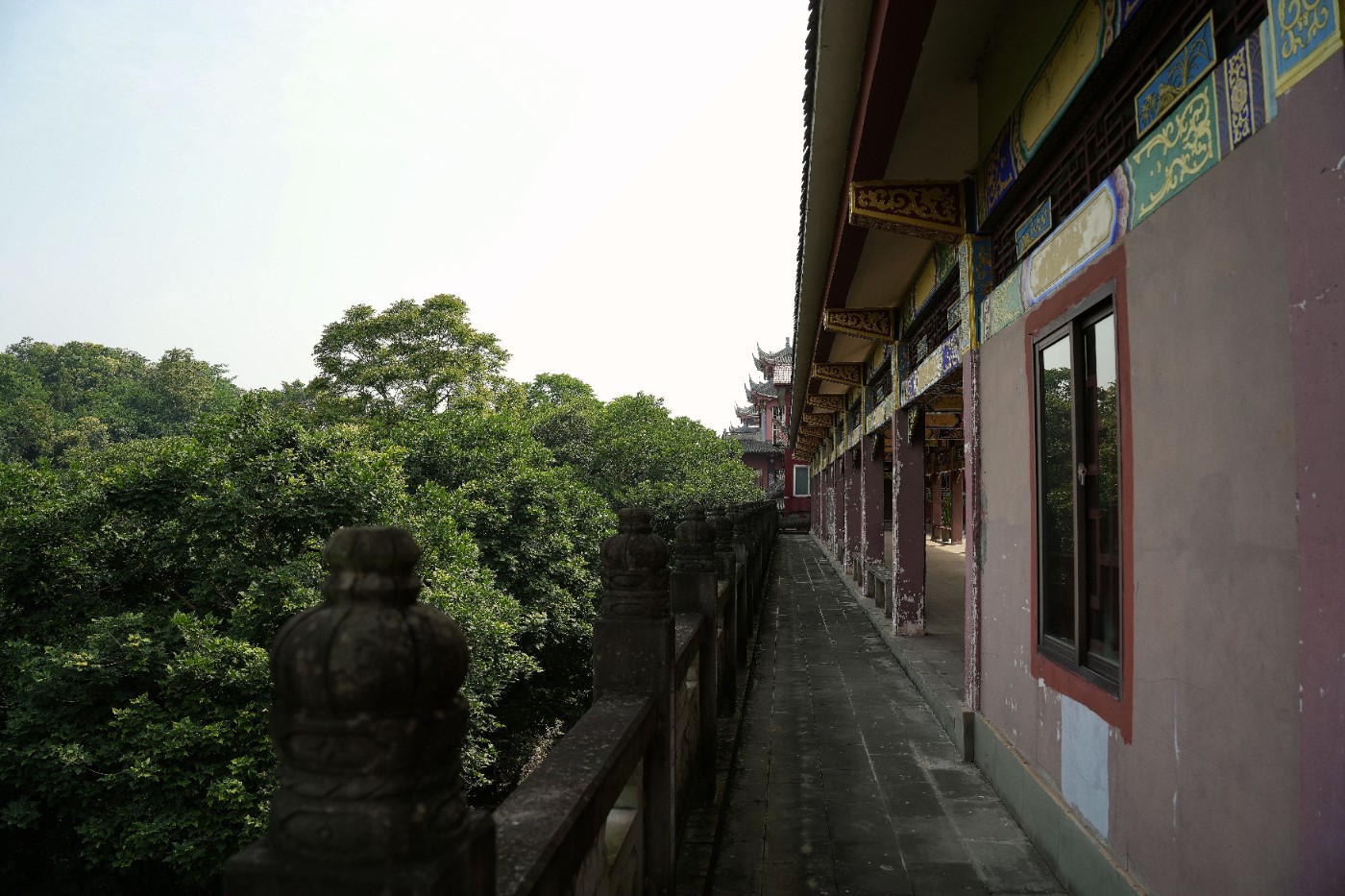 DSC07000_����.jpg