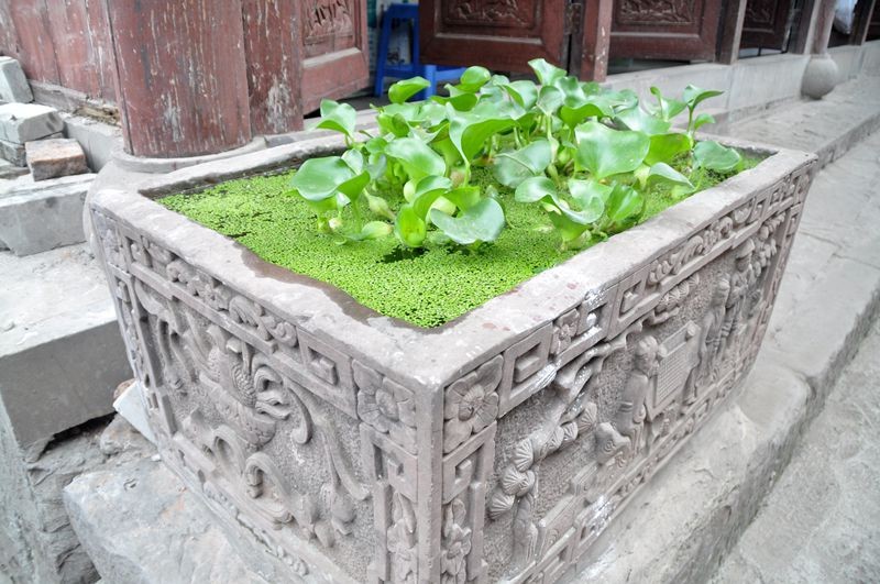 �ɽˮ�续 169_����.jpg