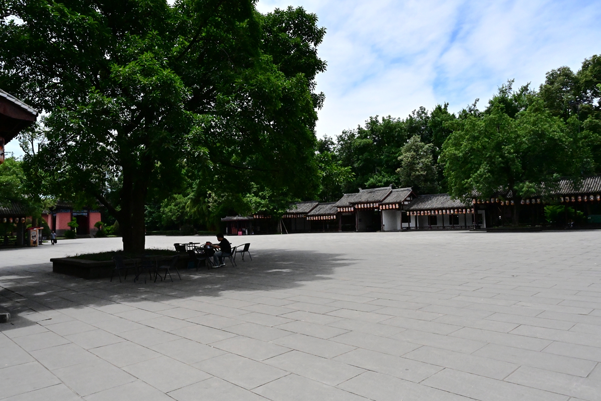 DSC_4540_����.jpg