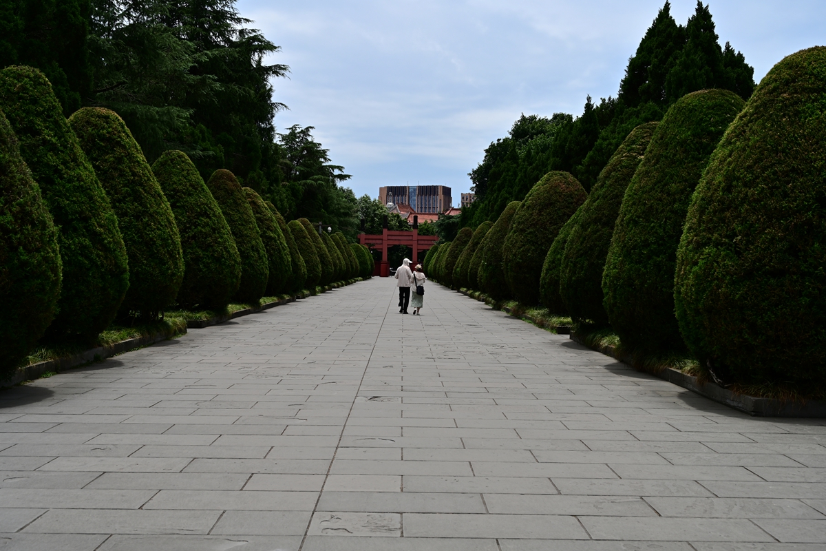 DSC_4521_����.jpg