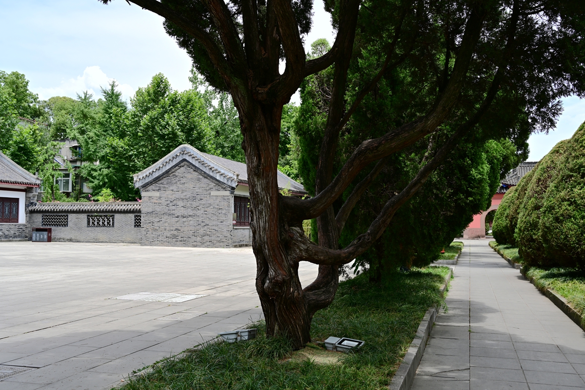DSC_4514_����.jpg