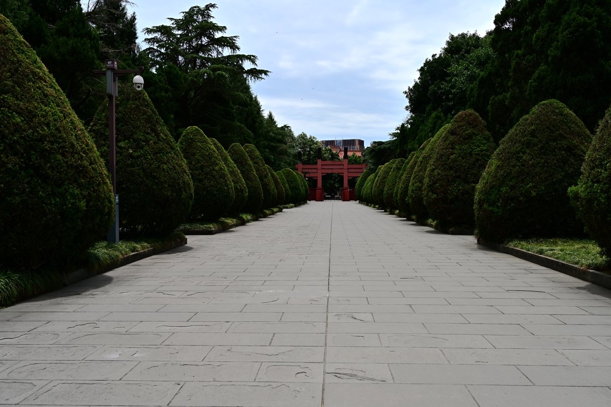 DSC_4511_����.jpg