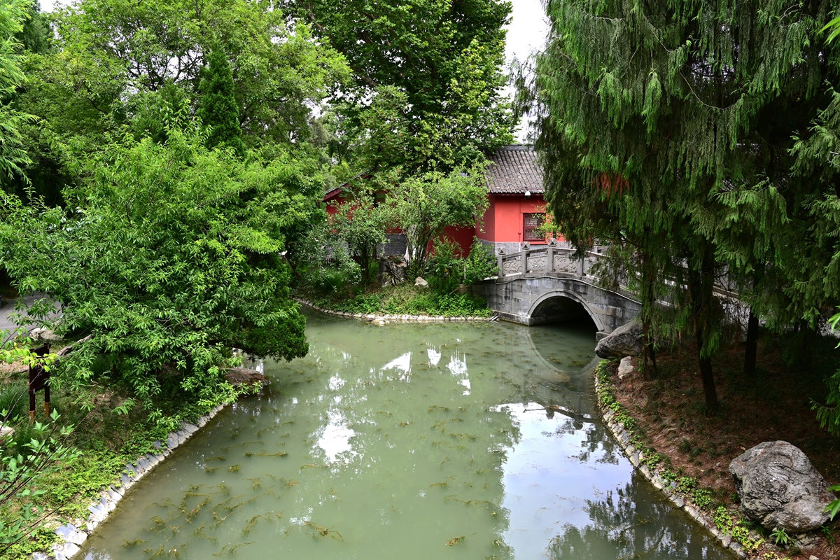 DSC_4509_����.jpg
