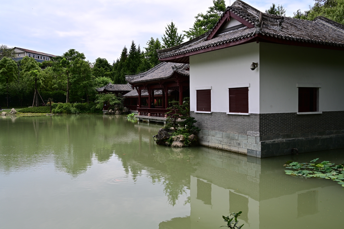 DSC_4507_����.jpg