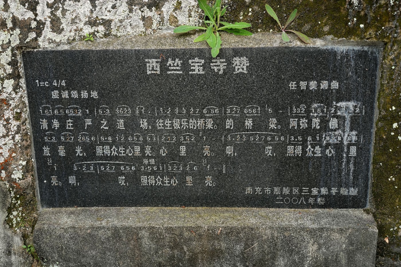 DSC07021_����.jpg