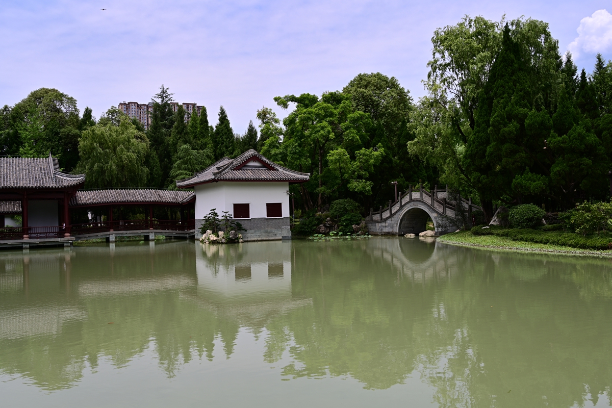 DSC_4498_����.jpg