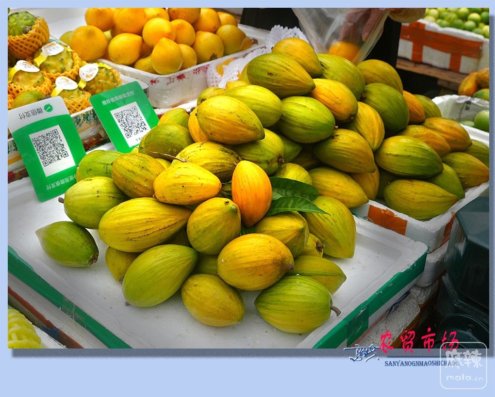 03����ũó�г�.jpg