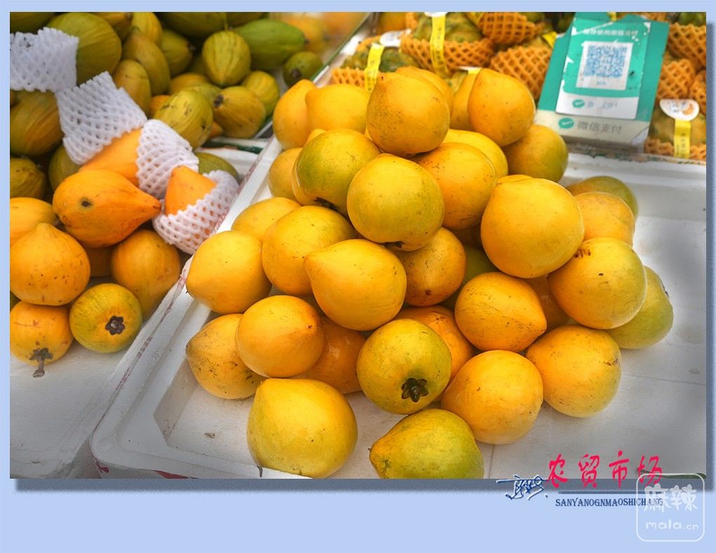 21����ũó�г�.jpg