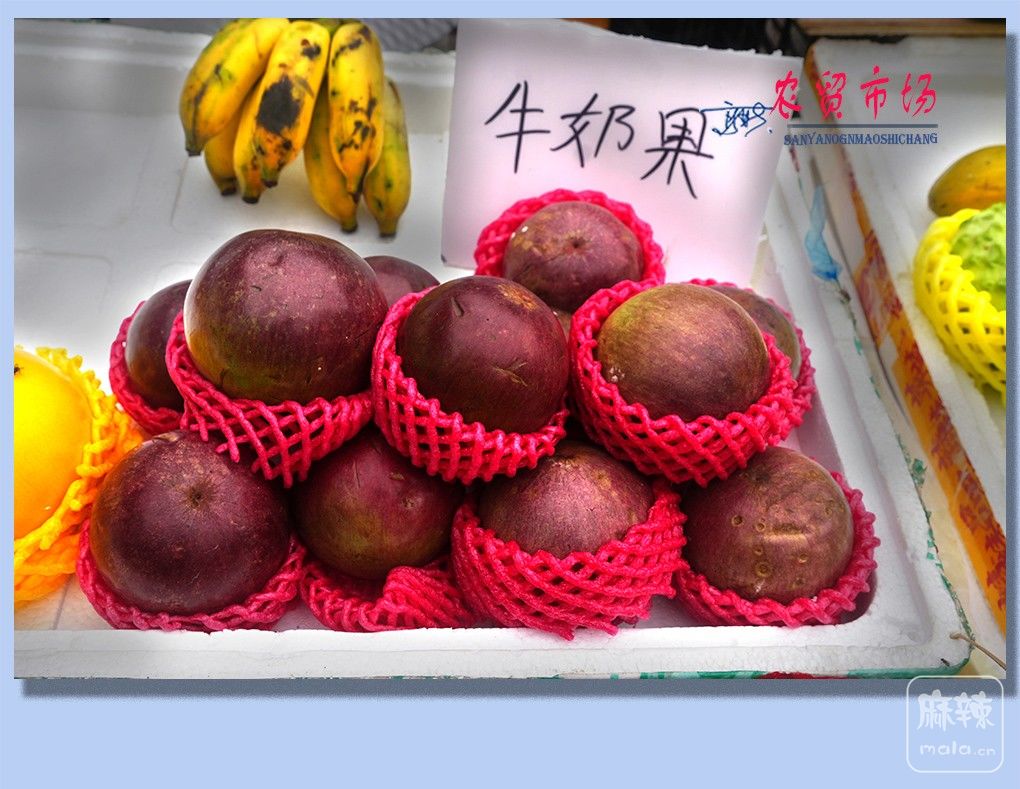 22����ũó�г�.jpg