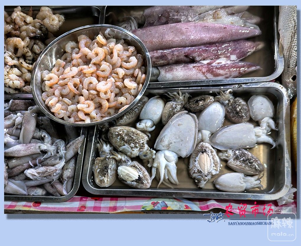 24����ũó�г�.jpg