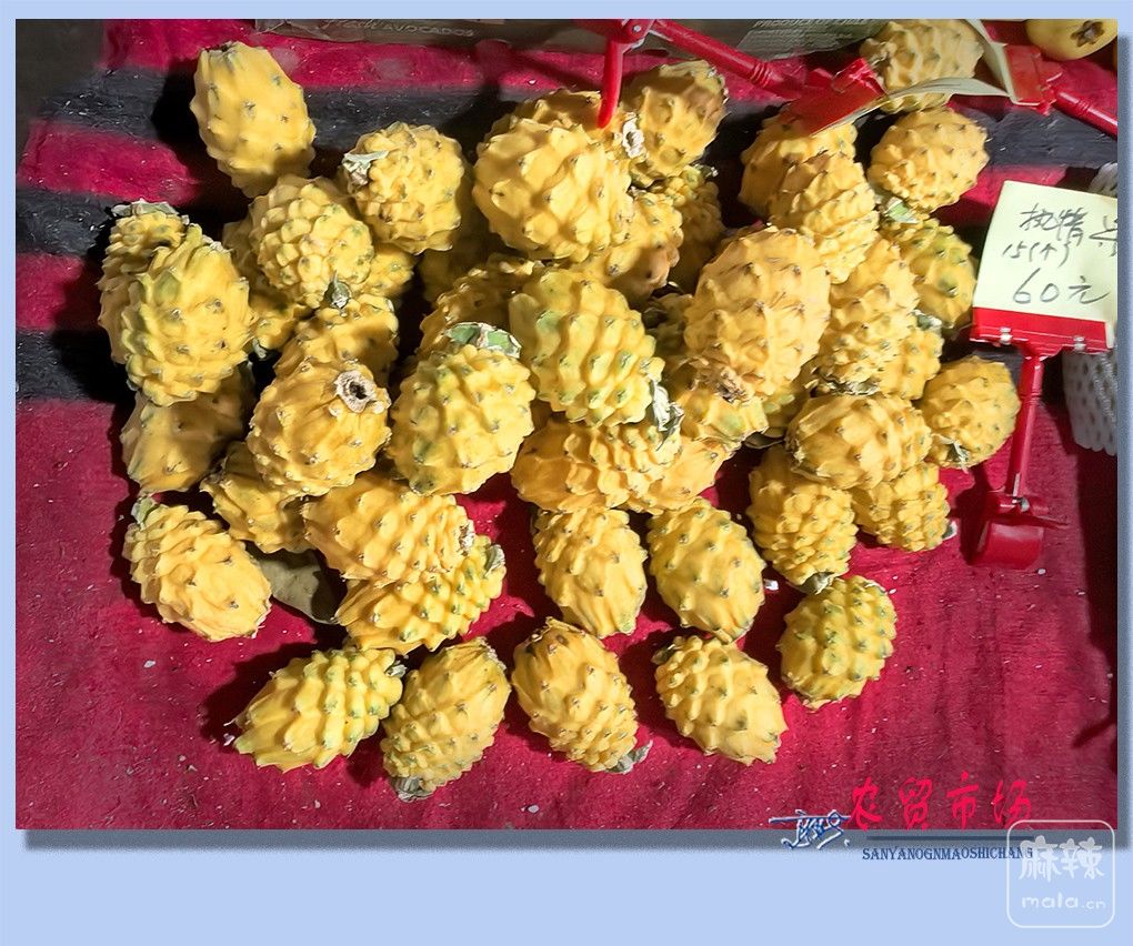 32����ũó�г�.jpg