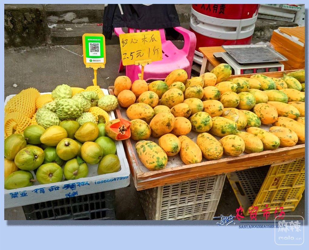 39����ũó�г�.jpg