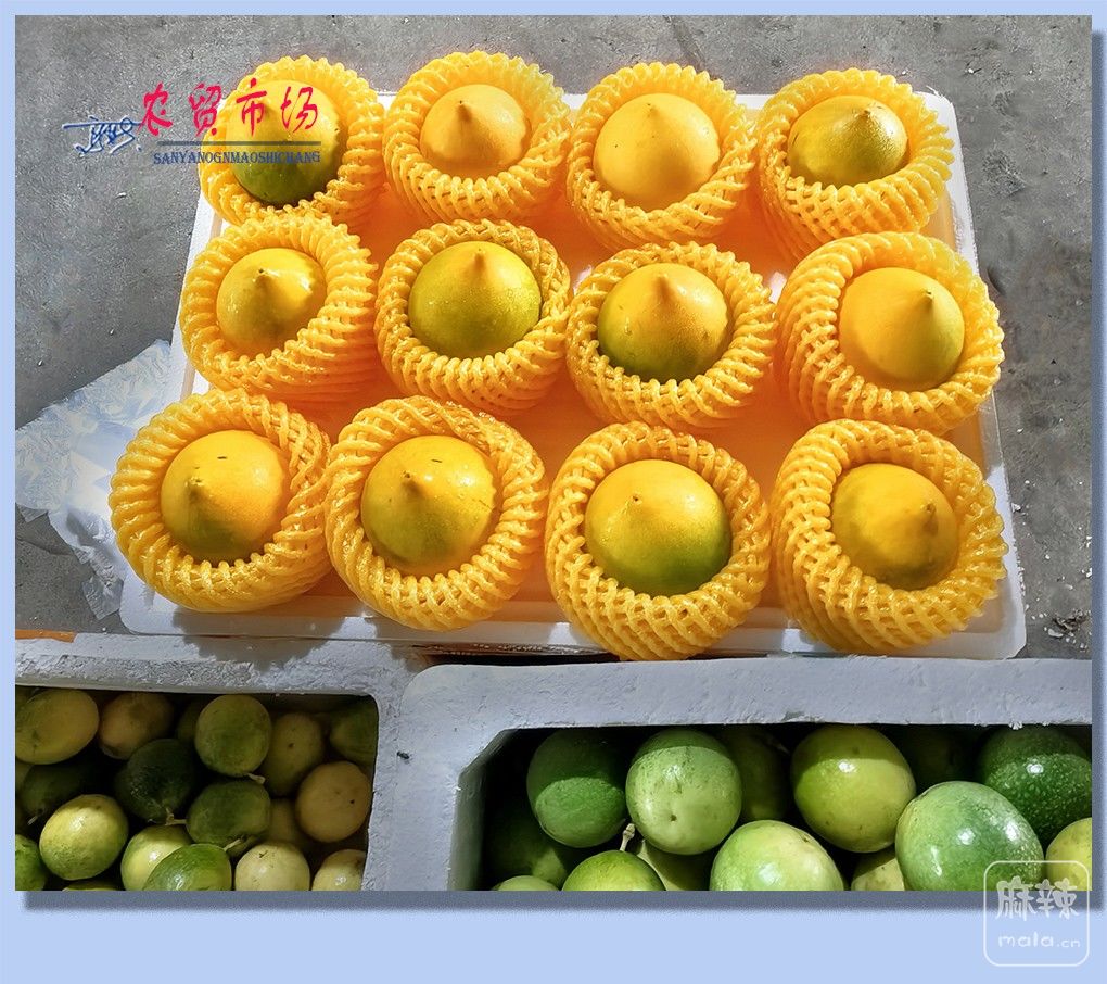 34����ũó�г�.jpg