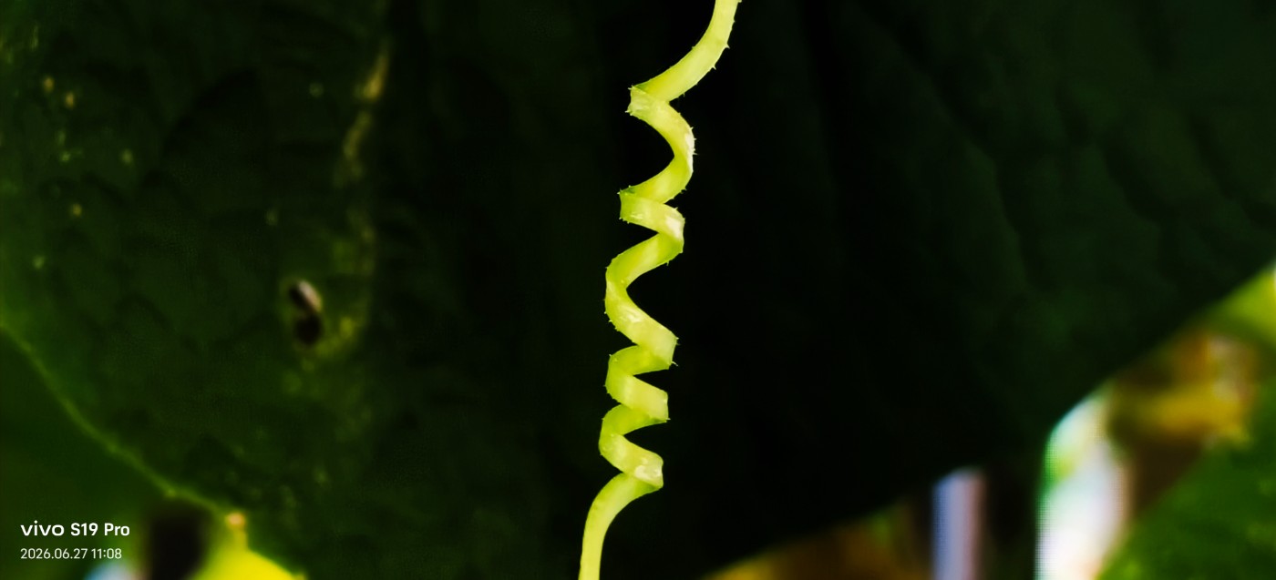 ΢��ͼƬ_20260627150827.jpg
