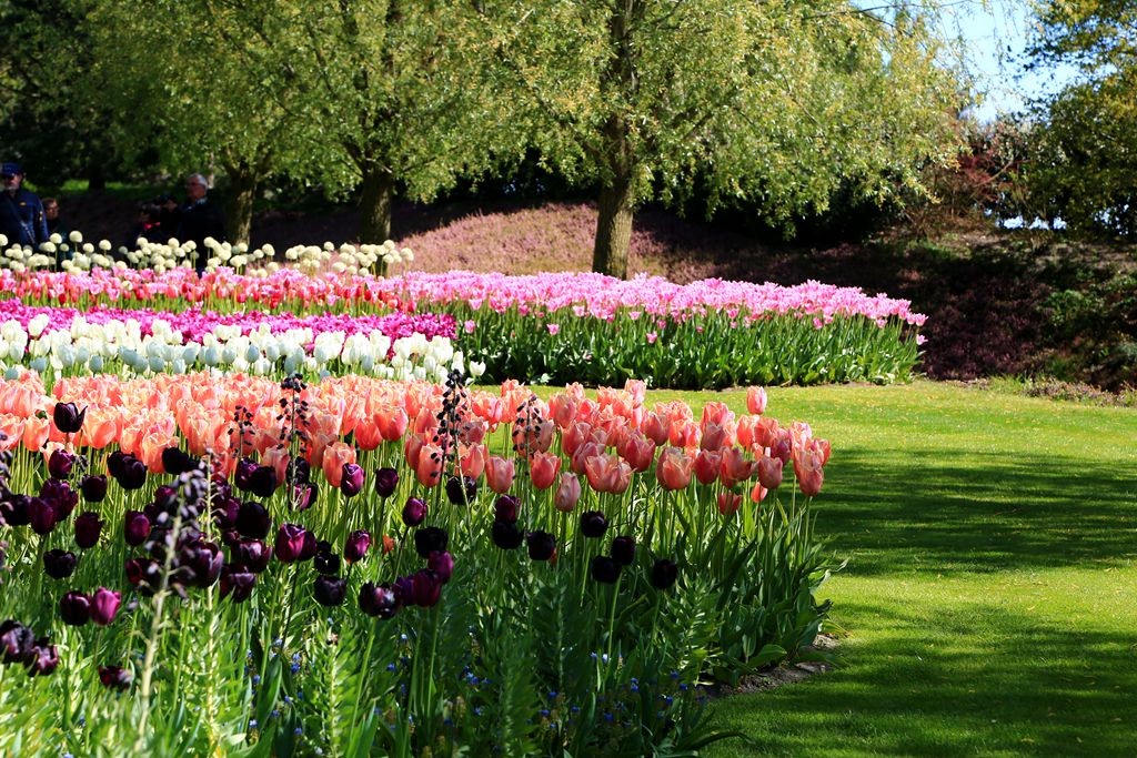 L_JY8628_����.jpg