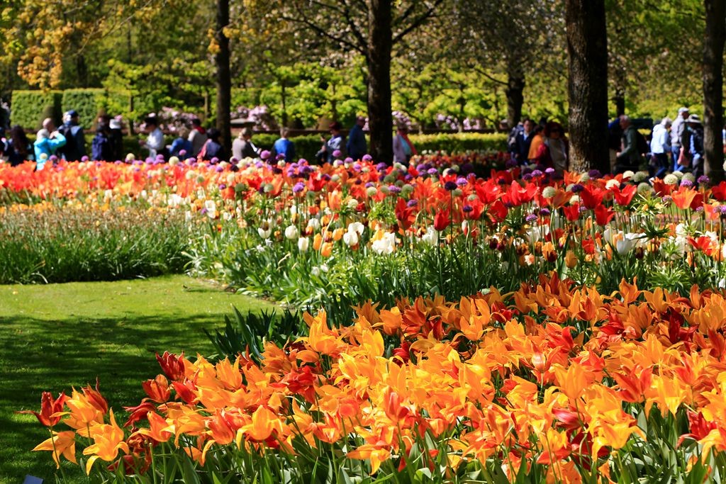 L_JY8633_����.jpg