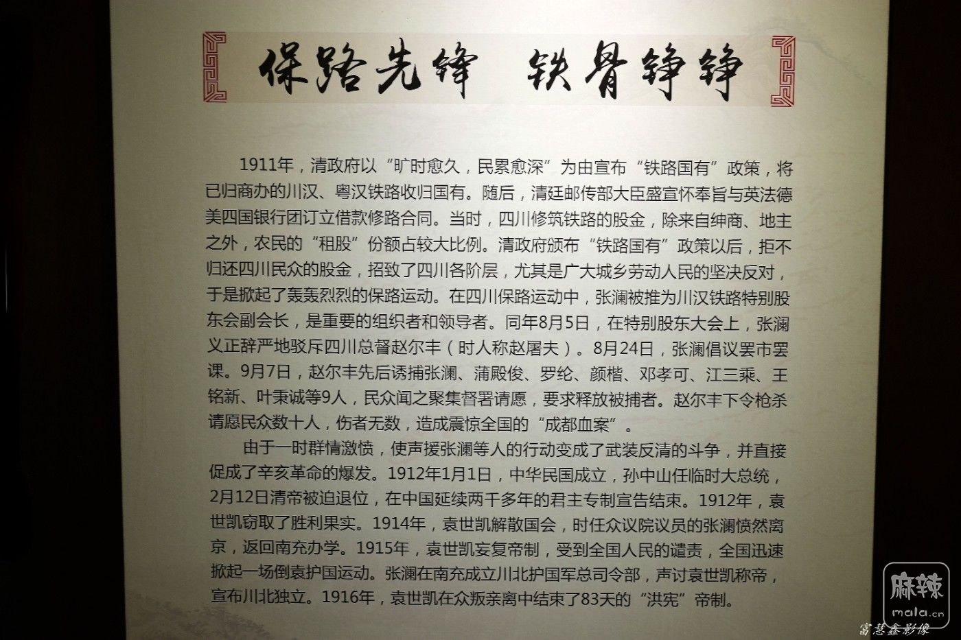 DSC08448_����.jpg