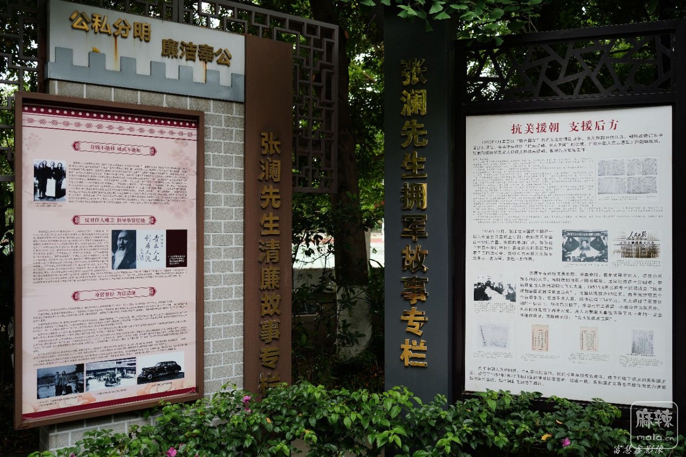 DSC08441_����.jpg