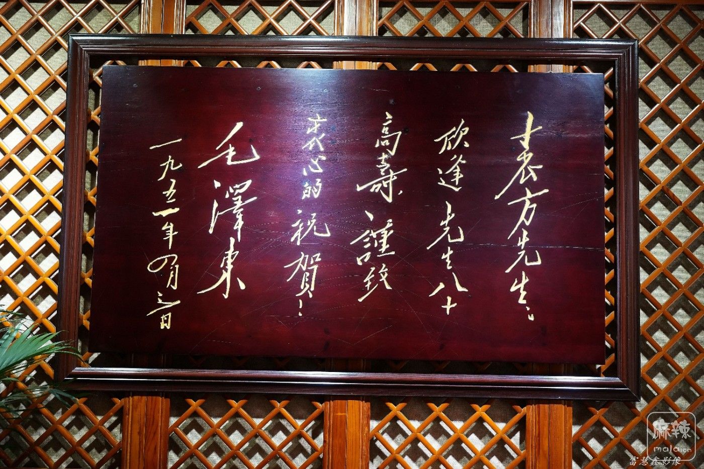 DSC08455_����.jpg