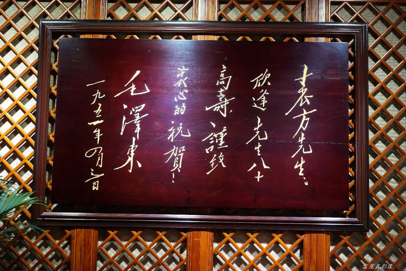 DSC08455_����.jpg