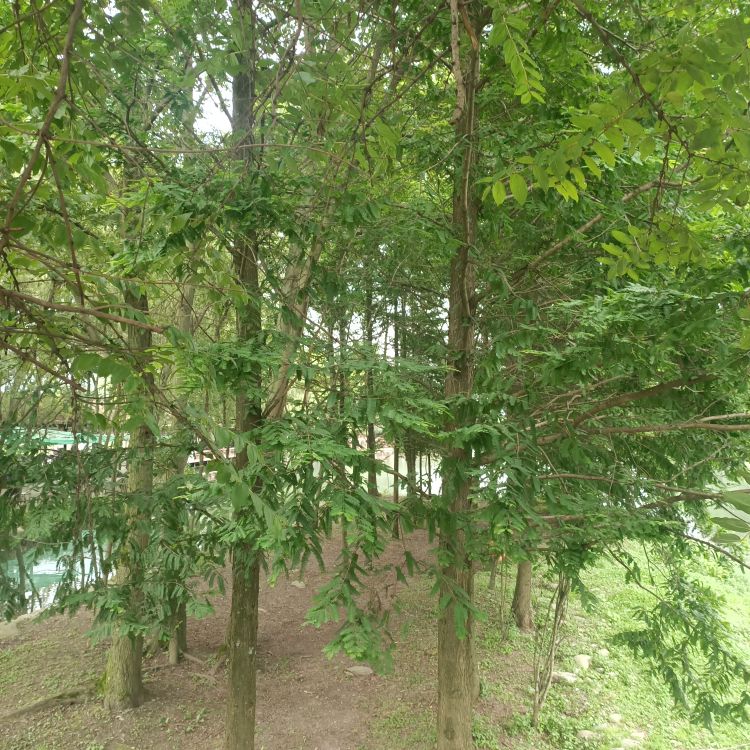 20260629084630front2_0_7873818_FgDmFFhPU2jqRS3e0k0HfiE4BIJb.jpg