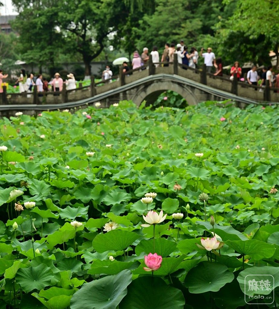 �ɻ�������060.jpg