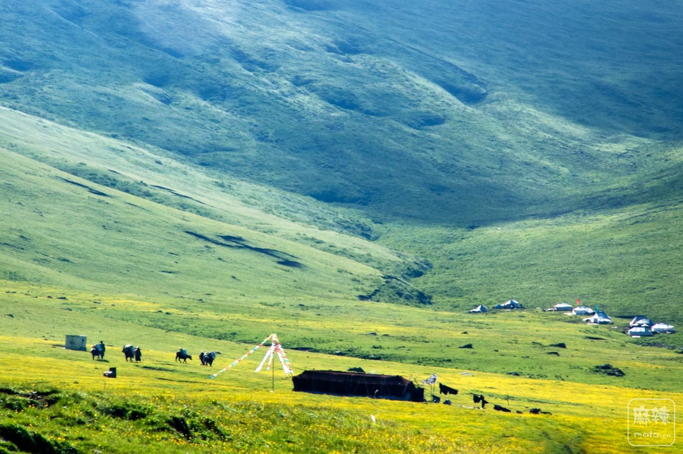 DSC_0817.jpg