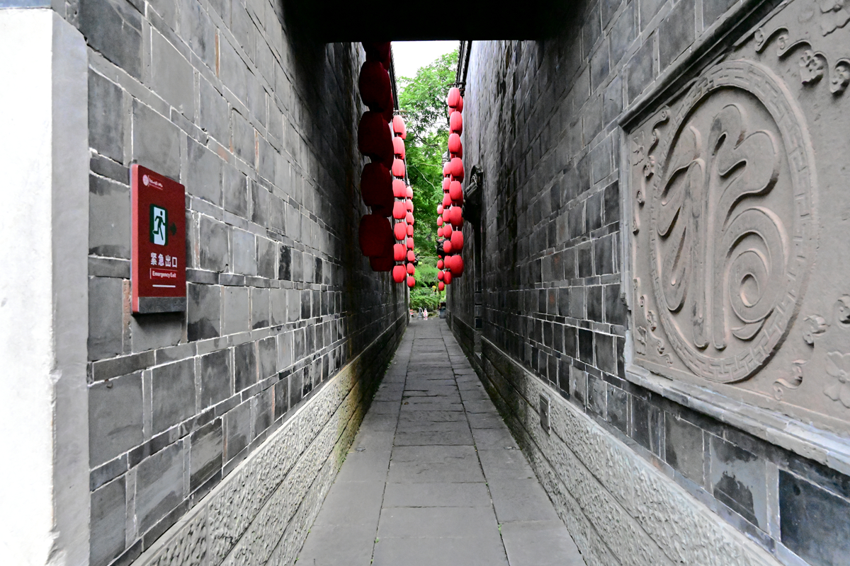 DSC_4224_����.jpg