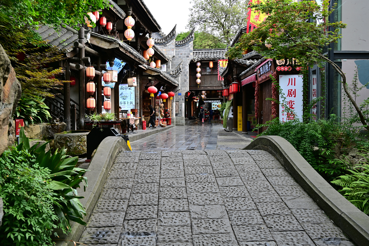 DSC_4245_����.jpg