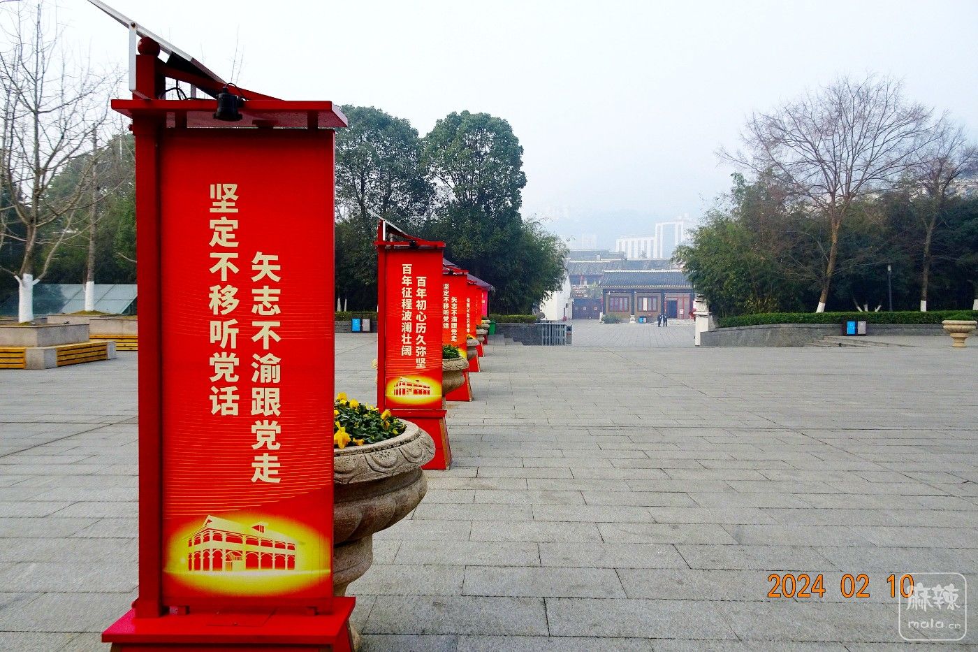 DSC00113.JPG