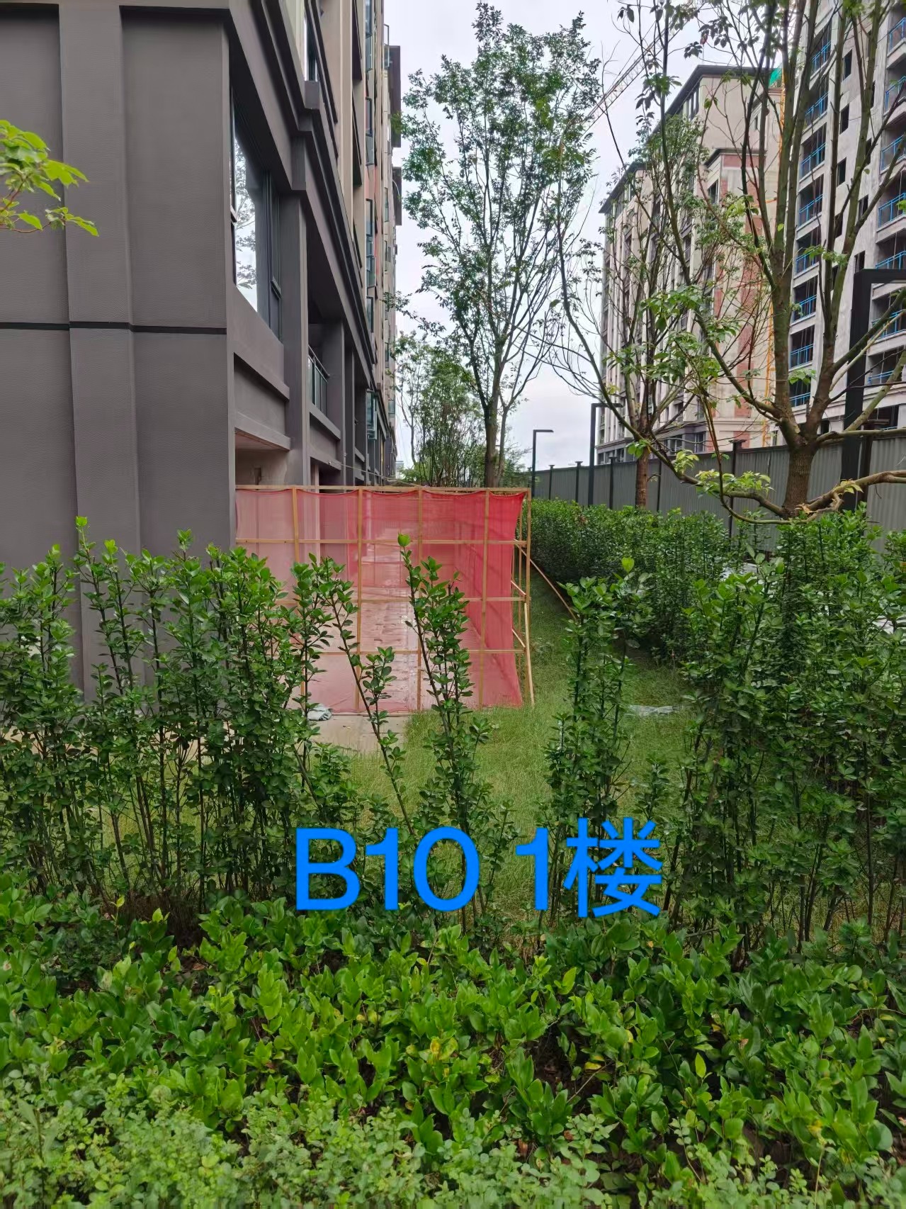 2077c156dde5f9b5d4bcffece0c40cfb.jpg