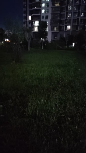 mmexport1782909836672.jpg