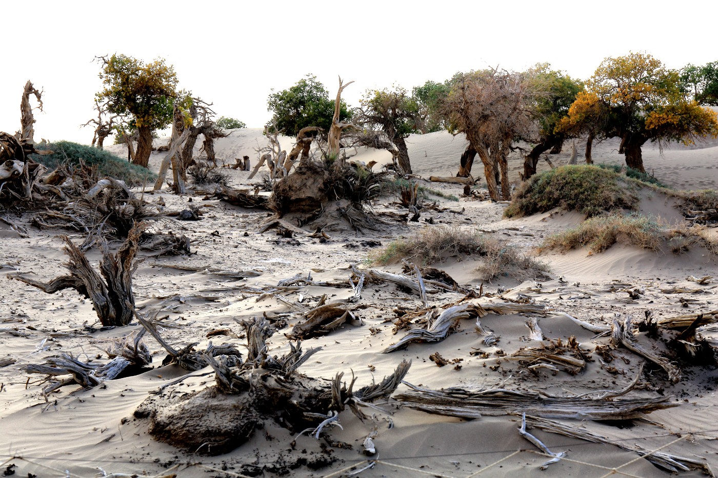 HU5A1767.jpg
