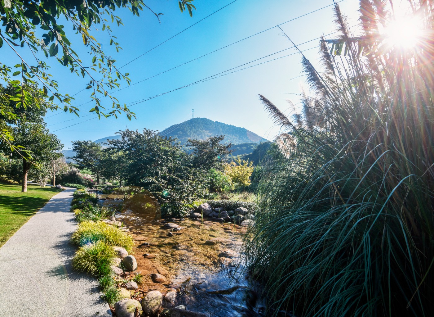 GLN_9004.JPG