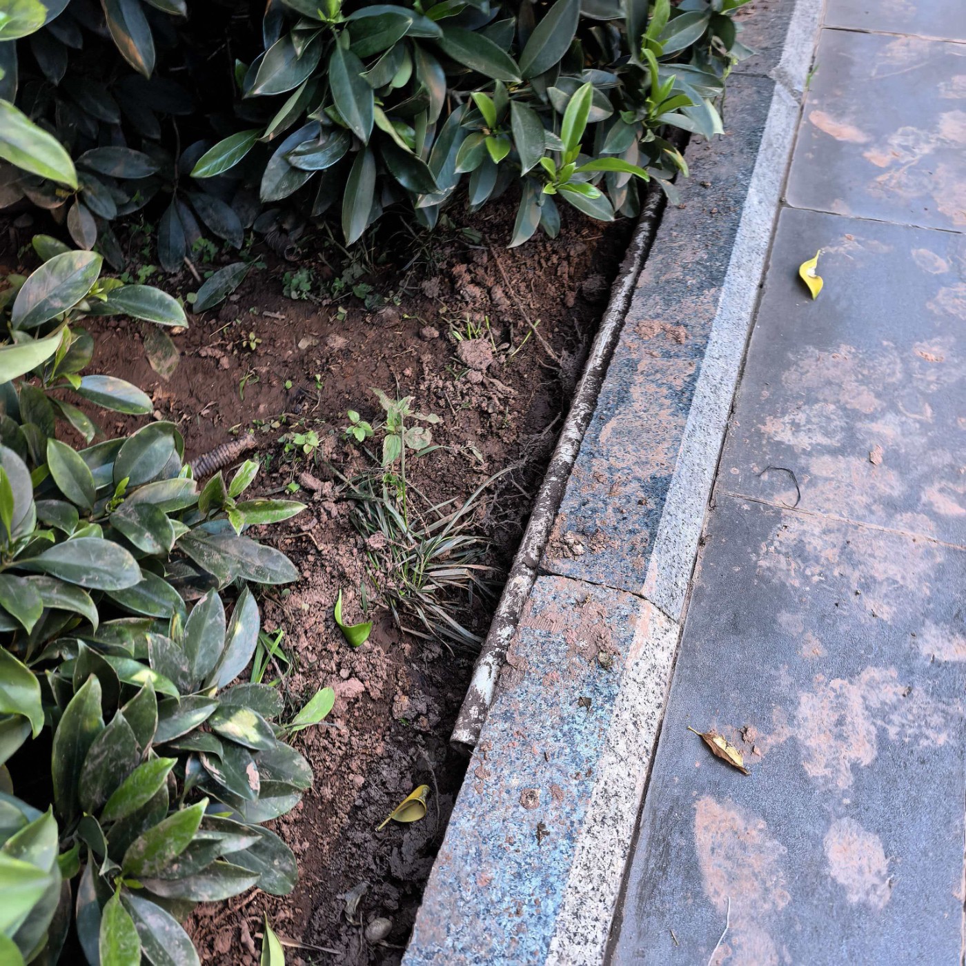 ΢��ͼƬ_20260703084544_221_1.jpg
