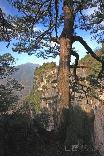 Image_1779561017833_364.jpg