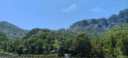 IMG20260530113036.jpg