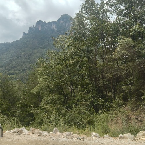 IMG20260702152140.jpg