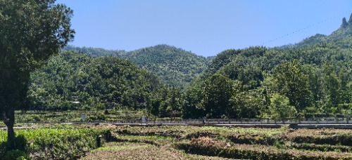 IMG20260530113159.jpg