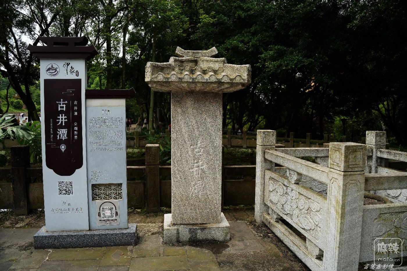 DSC08411_����.jpg