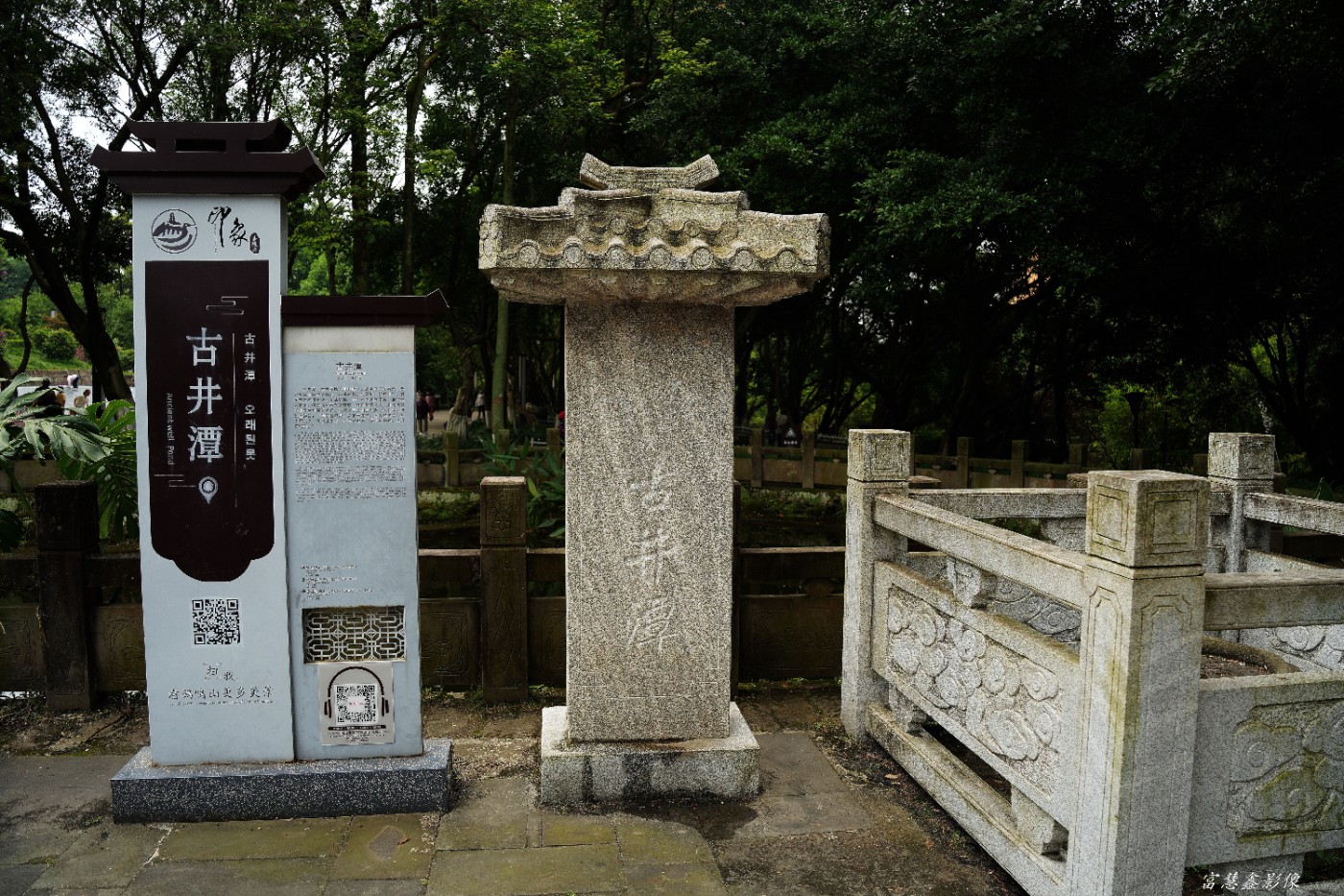 DSC08411_����.jpg