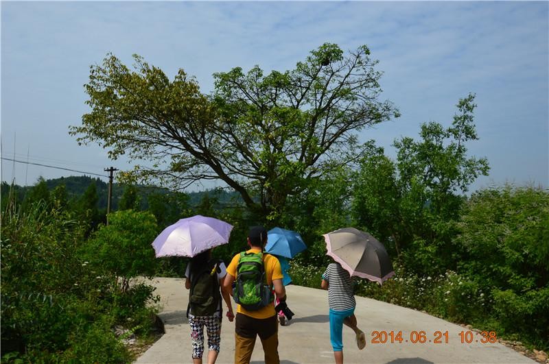 DSC_0176_Win��ͼ��.jpg