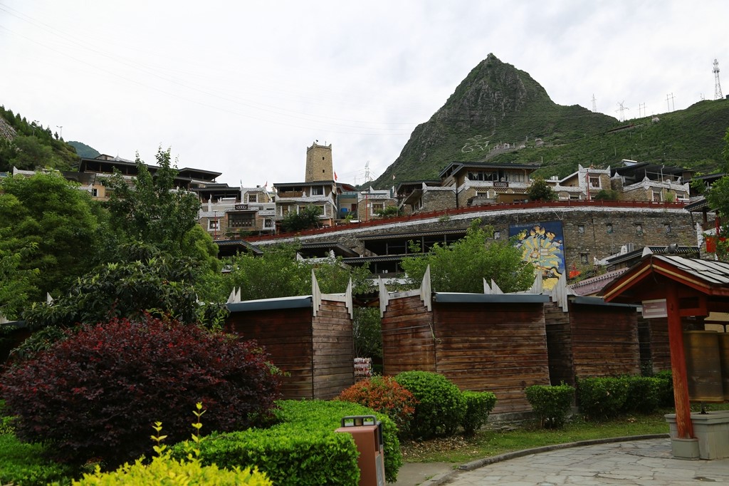 L_JY0379.JPG