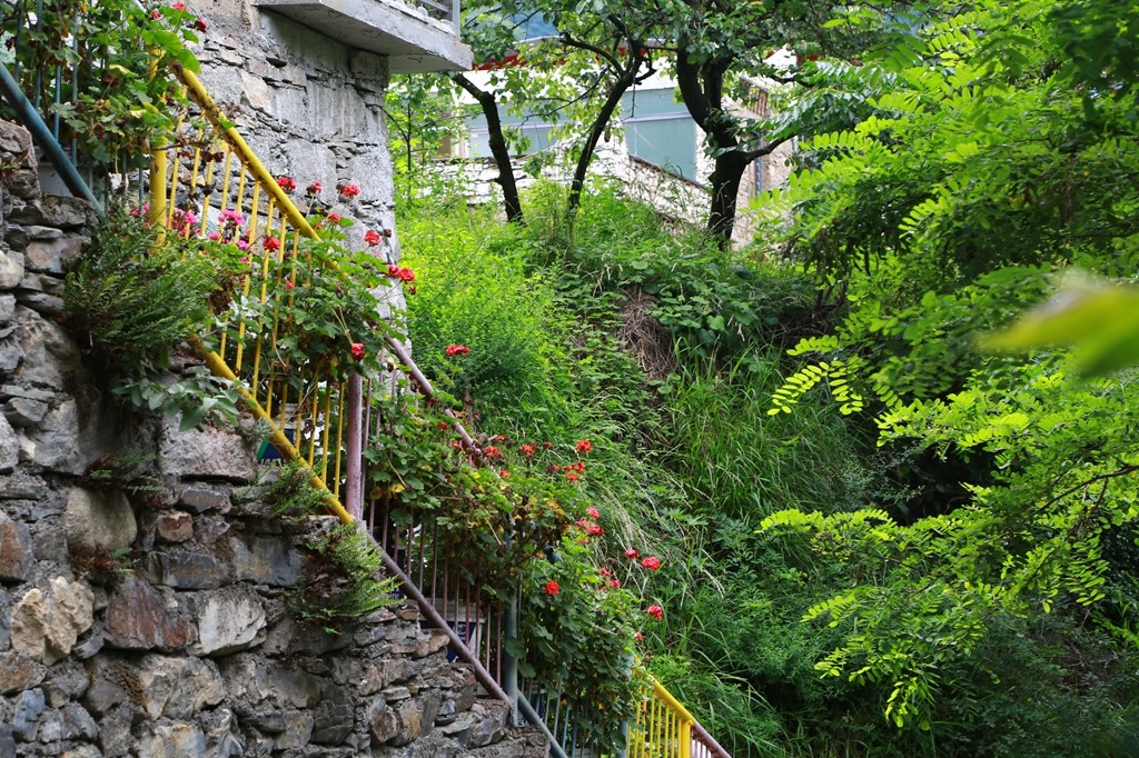 L_JY0535.JPG
